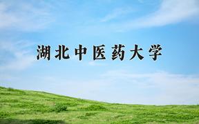 2024湖北中医药大学录取分数线及位次一览：重庆考生2025填报参考