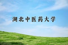 2024湖北中医药大学录取分数线及位次一览：重庆考生2025填报参考