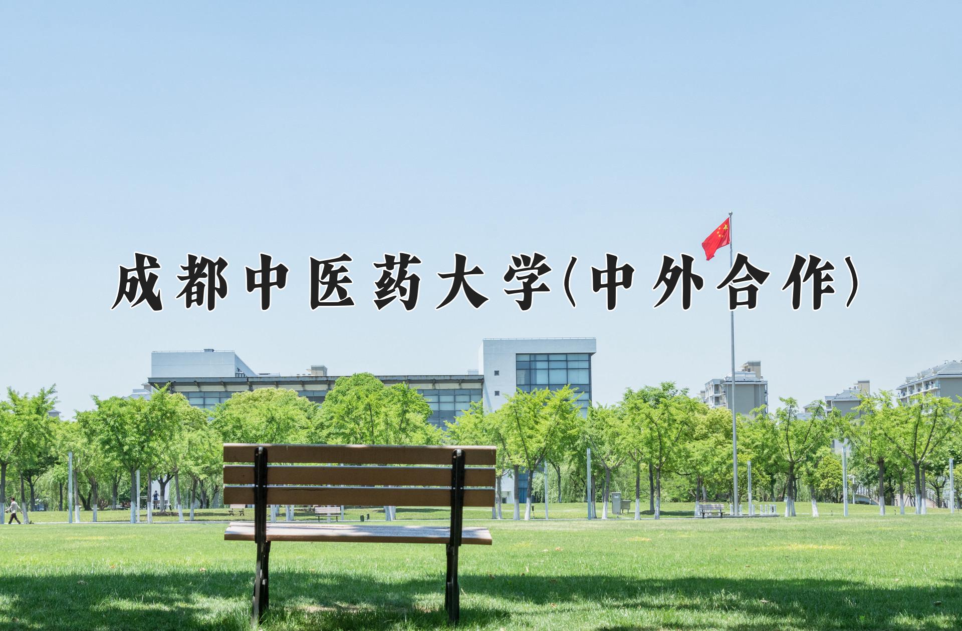 成都中医药大学(中外合作)