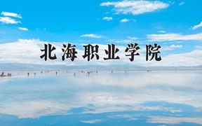 2024北海职业学院录取分数线及位次一览：四川考生2025填报参考