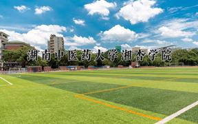 2024湖南中医药大学湘杏学院录取分数线及位次一览：重庆考生2025填报参考