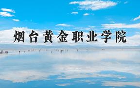 2024烟台黄金职业学院录取分数线及位次一览：四川考生2025填报参考