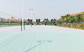 2024凯里学院录取分数线及位次一览：重庆考生2025填报参考