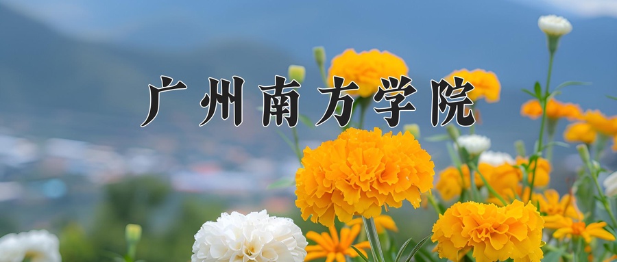 广州南方学院