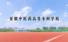 2024安徽中医药高等专科学校录取分数线及位次一览：四川考生2025填报参考