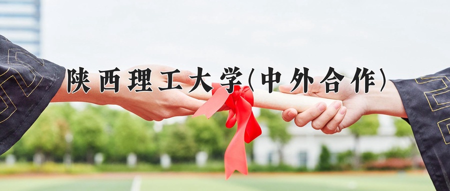 陕西理工大学(中外合作)