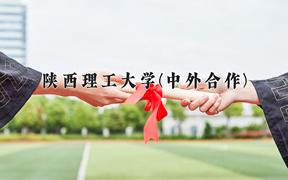 2024陕西理工大学(中外合作)录取分数线及位次一览：四川考生2025填报参考