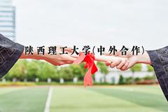 2024陕西理工大学(中外合作)录取分数线及位次一览：四川考生2025填报参考