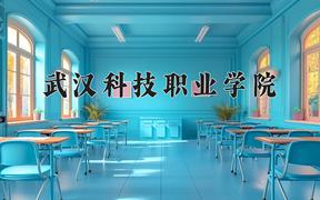 2024武汉科技职业学院录取分数线及位次一览：四川考生2025填报参考