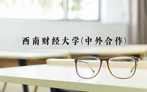 2024西南财经大学(中外合作)录取分数线及位次一览：四川考生2025填报参考