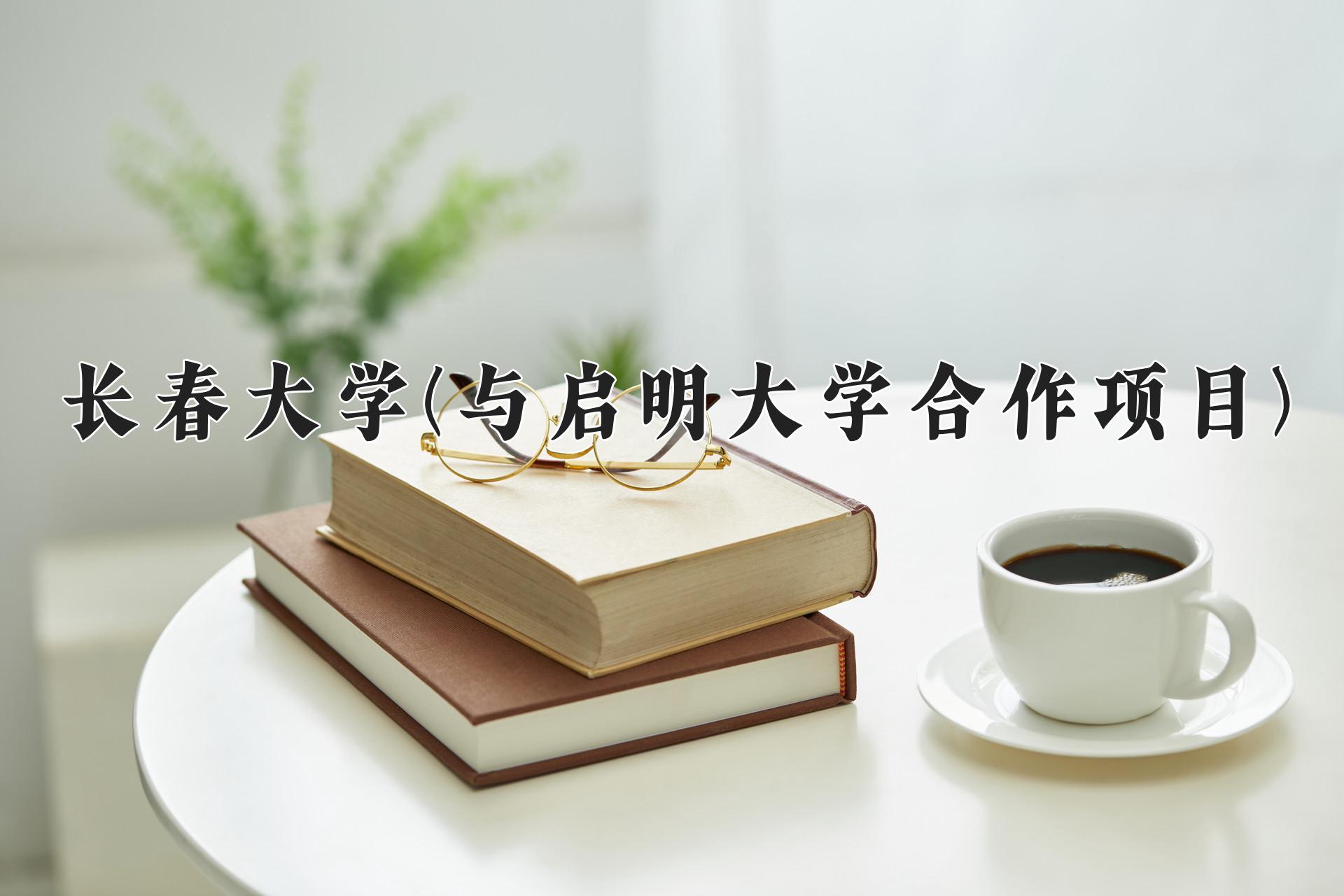 长春大学(与启明大学合作项目)