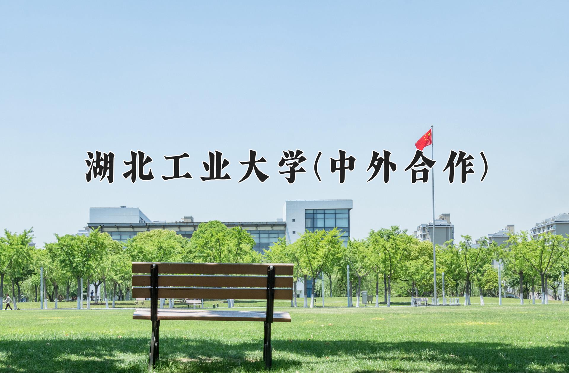 湖北工业大学(中外合作)