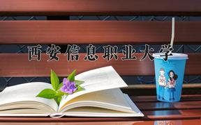 2024西安信息职业大学录取分数线及位次一览：四川考生2025填报参考