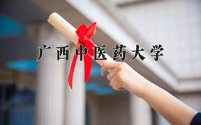 2024广西中医药大学录取分数线及位次一览：重庆考生2025填报参考