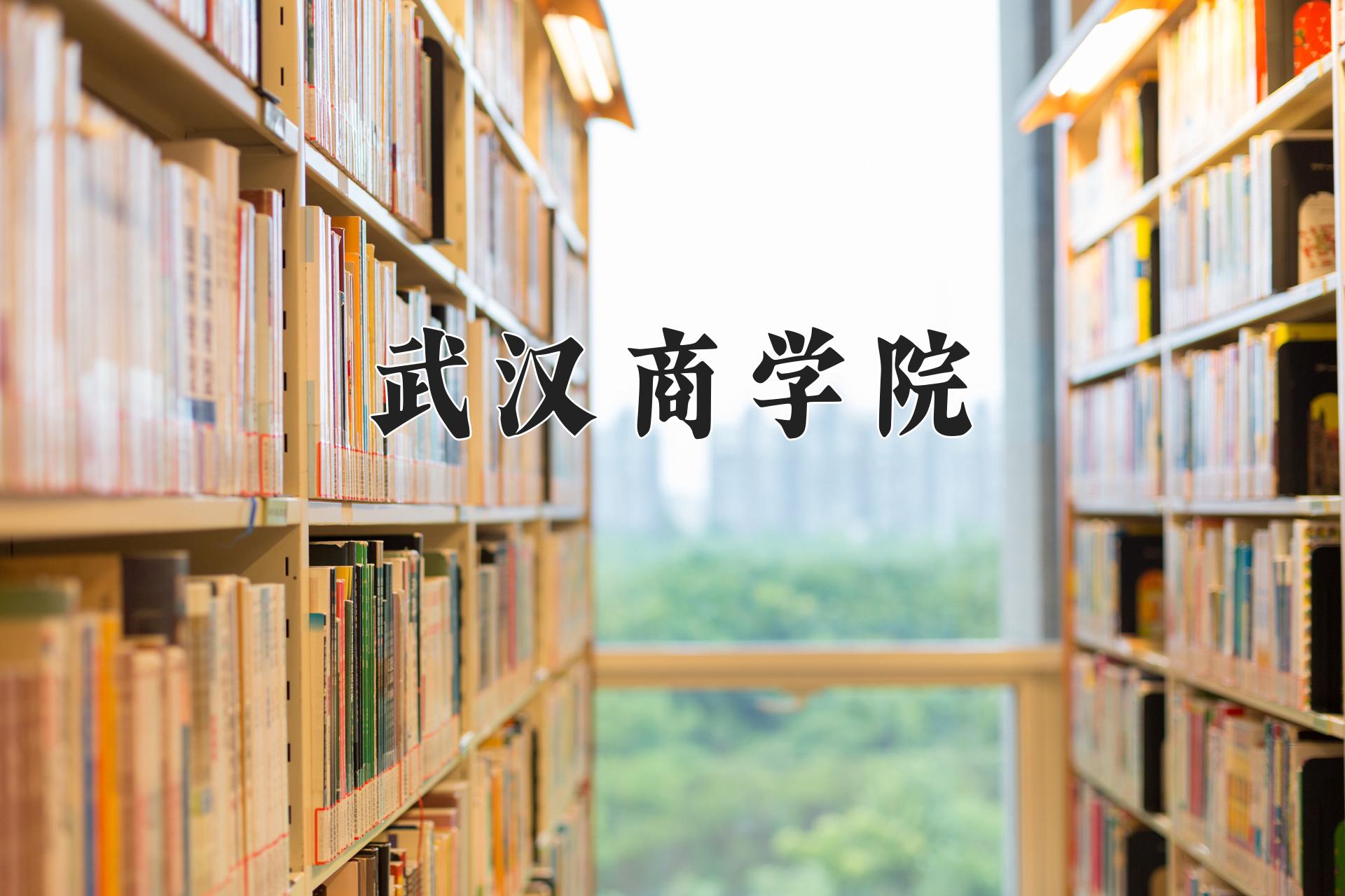 武汉商学院