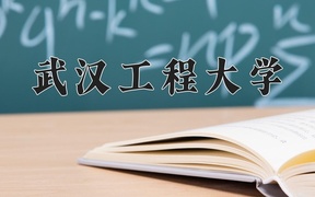 2024武汉工程大学录取分数线及位次一览：重庆考生2025填报参考