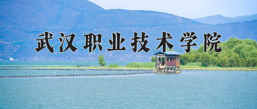 宁夏295分能上什么大学？附2025年可以报考的大学名单-第1张图片-索考网