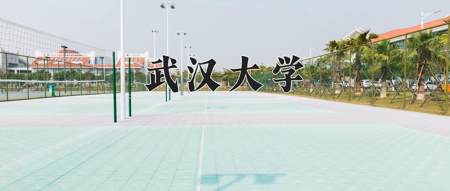 武汉大学
