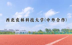 西北农林科技大学(中外合作)近三年在云南录取分数线(含2021-2023最低分)