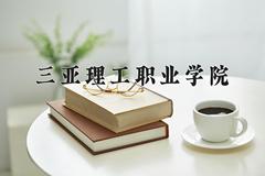 三亚理工职业学院近三年在云南录取分数线(含2021-2023最低分)