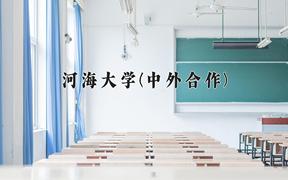 河海大学(中外合作)近三年在云南录取分数线(含2021-2023最低分)