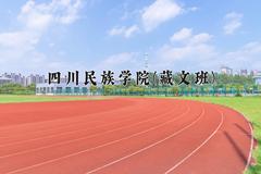 2024年四川民族学院(藏文班)在青海计划招生人数（附学费及专业录取分)