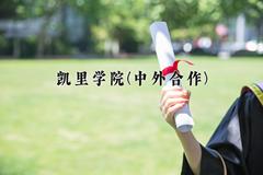 凯里学院(中外合作)近三年在云南录取分数线(含2021-2023最低分)