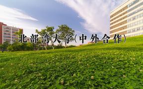 北部湾大学(中外合作)近三年在云南录取分数线(含2021-2023最低分)