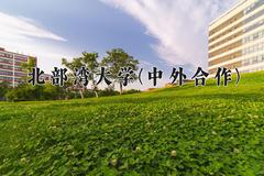 北部湾大学(中外合作)近三年在云南录取分数线(含2021-2023最低分)