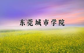 东莞城市学院近三年在云南录取分数线(含2021-2023最低分)