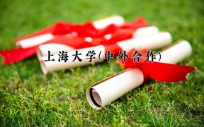 上海大学(中外合作)近三年在云南录取分数线(含2021-2023最低分)