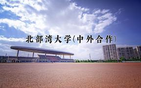 2024年北部湾大学(中外合作)在青海计划招生人数（附学费及专业录取分)