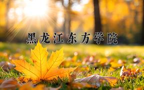 黑龙江东方学院近三年在云南录取分数线(含2021-2023最低分)