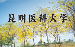 昆明医科大学近三年在云南录取分数线(含2021-2023最低分)