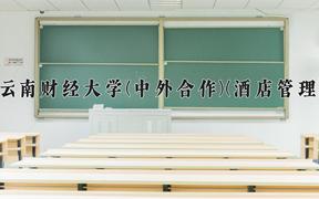 云南财经大学(中外合作)(酒店管理)近三年在云南录取分数线(含2021-2023最低分)