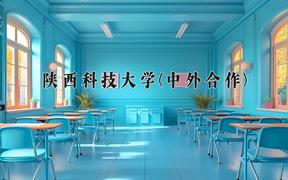 陕西科技大学(中外合作)近三年在云南录取分数线(含2021-2023最低分)