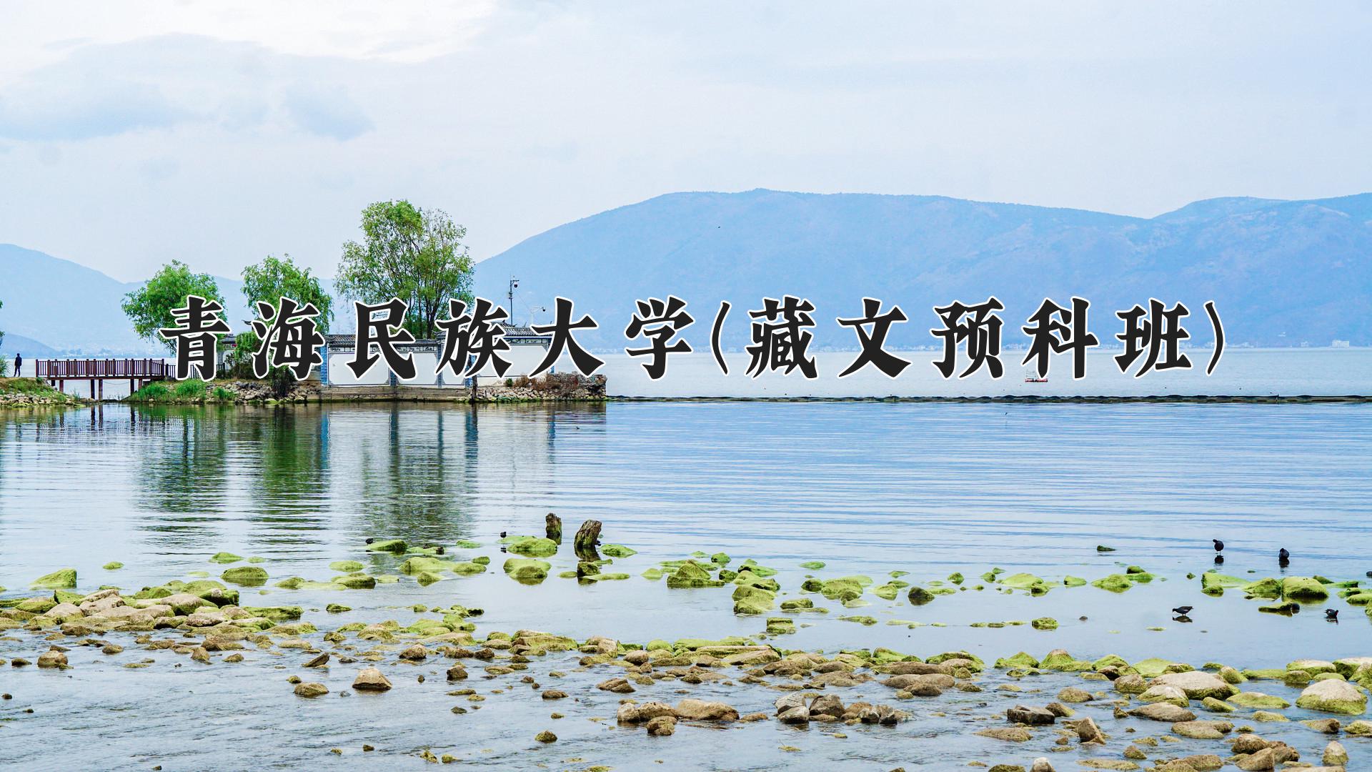 青海民族大学(藏文预科班)