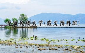 2024年青海民族大学(藏文预科班)在青海计划招生人数（附学费及专业录取分)