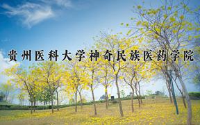 贵州医科大学神奇民族医药学院近三年在云南录取分数线(含2021-2023最低分)