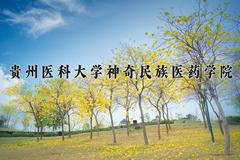 贵州医科大学神奇民族医药学院近三年在云南录取分数线(含2021-2023最低分)