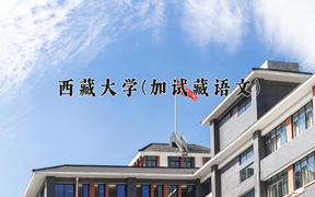 西藏大学(加试藏语文)近三年在云南录取分数线(含2021-2023最低分)