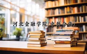 河北金融学院(中外合作)近三年在云南录取分数线(含2021-2023最低分)