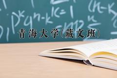 2024年青海大学(藏文班)在青海计划招生人数（附学费及专业录取分)