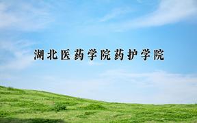 2024年湖北医药学院药护学院在青海计划招生人数（附学费及专业录取分)