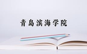 青岛滨海学院近三年在云南录取分数线(含2021-2023最低分)