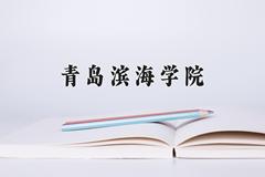 青岛滨海学院近三年在云南录取分数线(含2021-2023最低分)