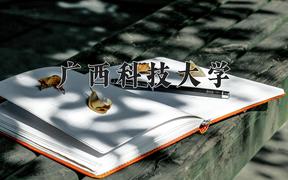 广西科技大学近三年在云南录取分数线(含2021-2023最低分)