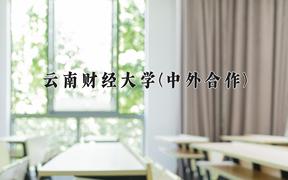 云南财经大学(中外合作)近三年在云南录取分数线(含2021-2023最低分)