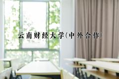 云南财经大学(中外合作)近三年在云南录取分数线(含2021-2023最低分)