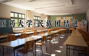 云南中医药大学(民族团结进步示范班)近三年在云南录取分数线(含2021-2023最低分)